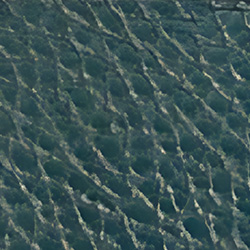 Bottigilia