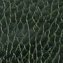 Deep Green